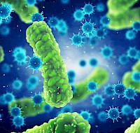 Our Eyes Are Access Points for Pathogens